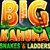 Big Kahuna - Snakes and Ladders