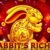 Rabbits Riches