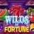 Wilds of Fortune